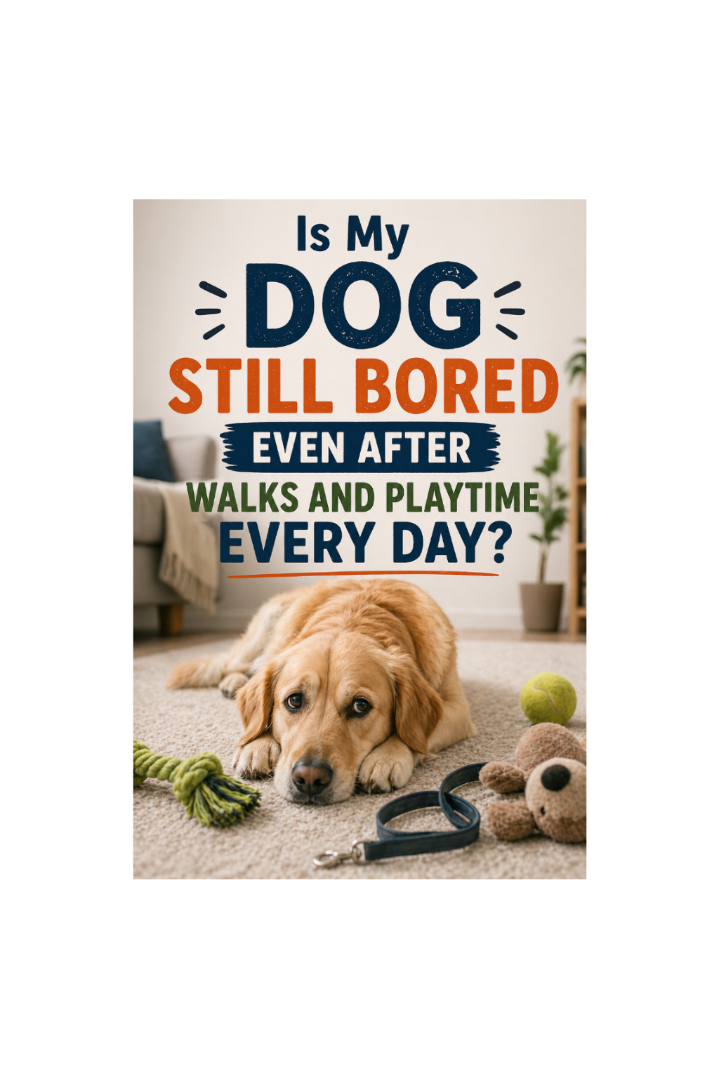 Home Page Image With Text - Is My Dog Still Bored Even After Walks and Playtime Every Day